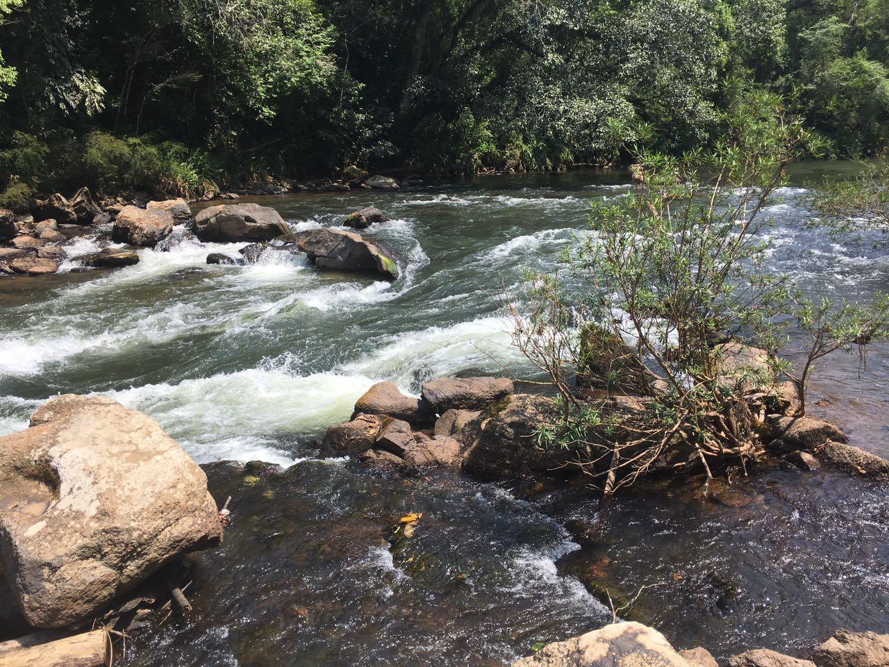 Corredeira com pedras e água branca