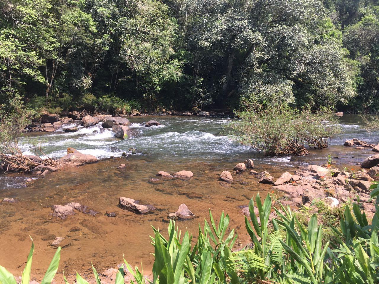 Leito de pedras com água rasa e corredeira ao fundo